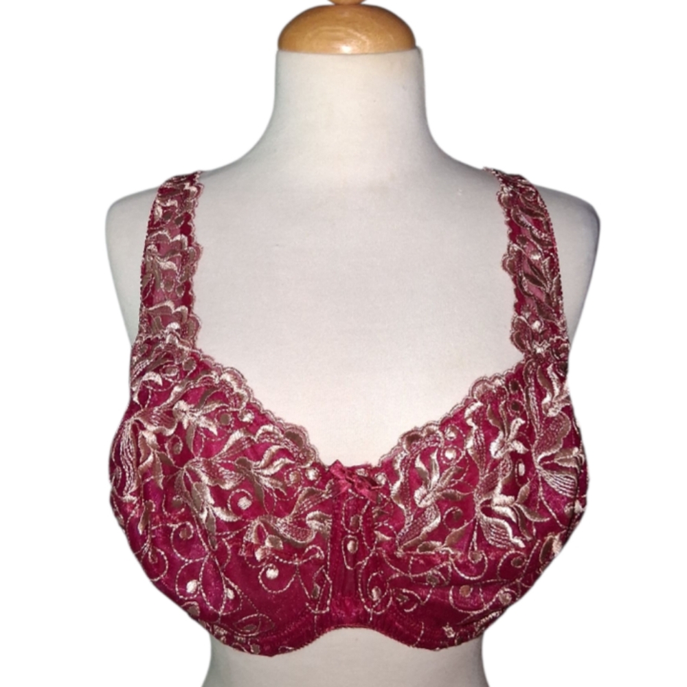 Amoureuse Lace Embroidered Bra - Red and Gold - 38DD